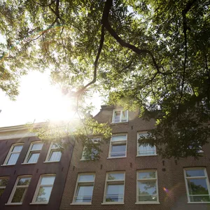 Image of Frans Hals Loft
