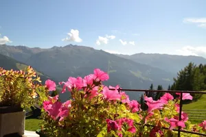 Image of Pension Pichlerhof