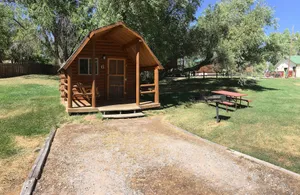 Image of Dinosaurland Koa