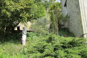 Image of Songbird Sanctuary