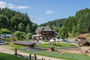 Image of Schwarzwaldgasthof Hotel Tannenmühle