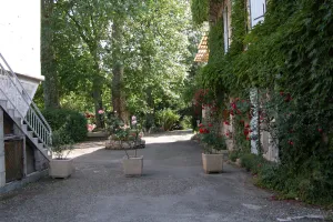 Image of L'Eden