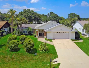 Image of Palm Paradise