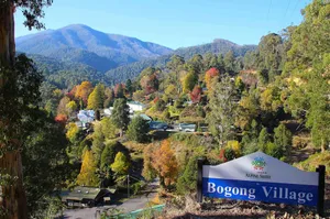 Image of Bogong Village