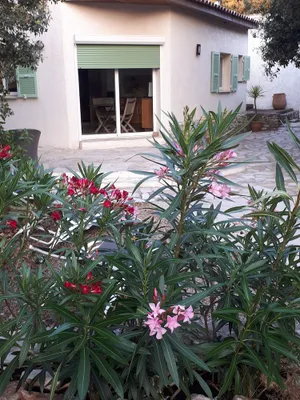 Image of Gîte Acellu