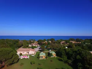 Image of Rico Plage