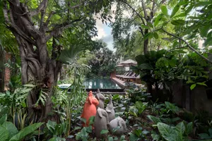 Image of The Nature