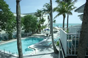 Image of Coquina On The Beach