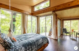 Image of Grandview Treetops