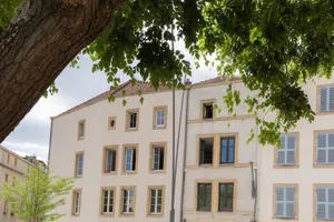 Image of Metz Attitude
