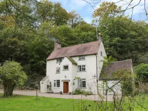 Image of Town Mill