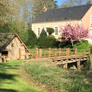 Image of L'ile O Reflets