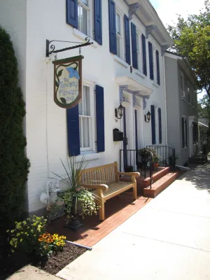 Image of Tawsty Flower - Haines Suites