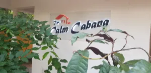 Image of The Calm Cabana