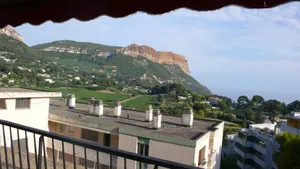 Image of Panoramic Cassis