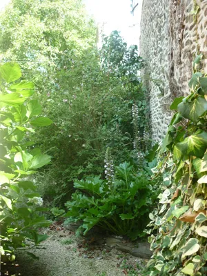 Image of La Maison de Claire