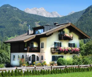 Image of Appartements Saalachtal