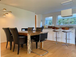 Image of Luxury Apartment with Amazing views at Lucerne