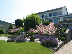 Image of Weingut Bastian