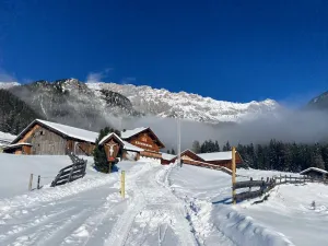 Image of ZHammermoos Die Alm