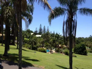 Image of Paradise Palms Resort