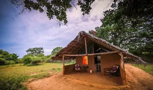 Image of Yakaduru - Yala