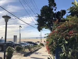 Image of Tripper Electric Beach Suites And Pods