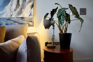 Image of Contemporary 1 Bedroom Flat With Stunning London View