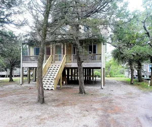 Image of Patty's Hollow