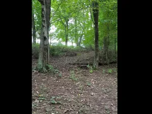 Image of Tentrr - Peaceful by Pigeon Creek