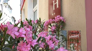 Image of Hotel des Alpes