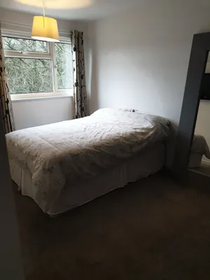 Image of Corporate Large Modern 3 Bedroom House