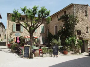 Image of Les Platanes
