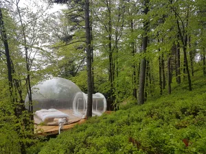 Image of La bulle transparente La Myrtille