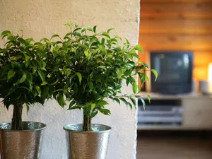 Image of Cozy Chalet in Wincrange with Private Garden