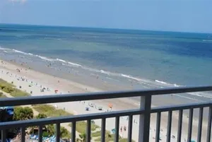 Image of Sea Mist 51302