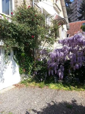 Image of LE PAVILLON RENNAIS
