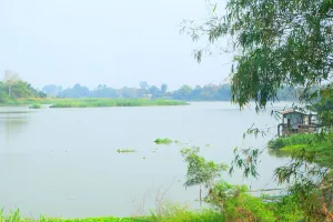 Image of P Resort Riverside