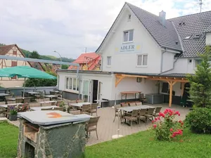 Image of "room in Guest Room - Gasthaus Adler: Double Room With Private Bathroom and Garden View"