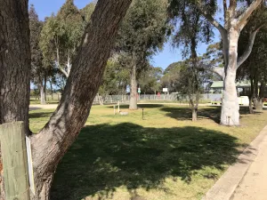 Image of Swan Reach Gardens