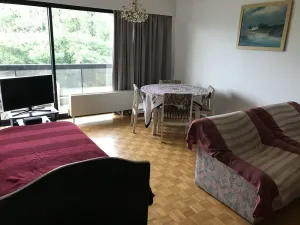 Image of Rtbf Brussels City Nato Apartment