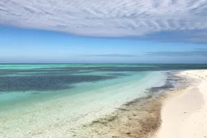 Image of Palm Gardens