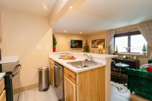Image of Designer Newly Renovated 1BR in Aspen