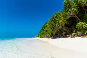 Image of Villa Kamadhoo