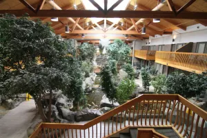 Image of C'mon Inn Billings