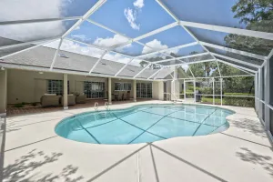 Image of Fun in the Sun