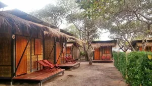 Image of Little Hut