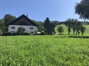 Image of L'ÉPERVIER BLANC