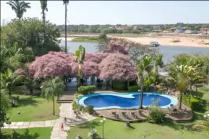 Image of Odara Araguaia