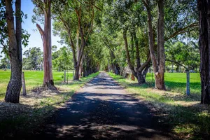 Image of Dunsborough Rail Carriages And Farm Cottages